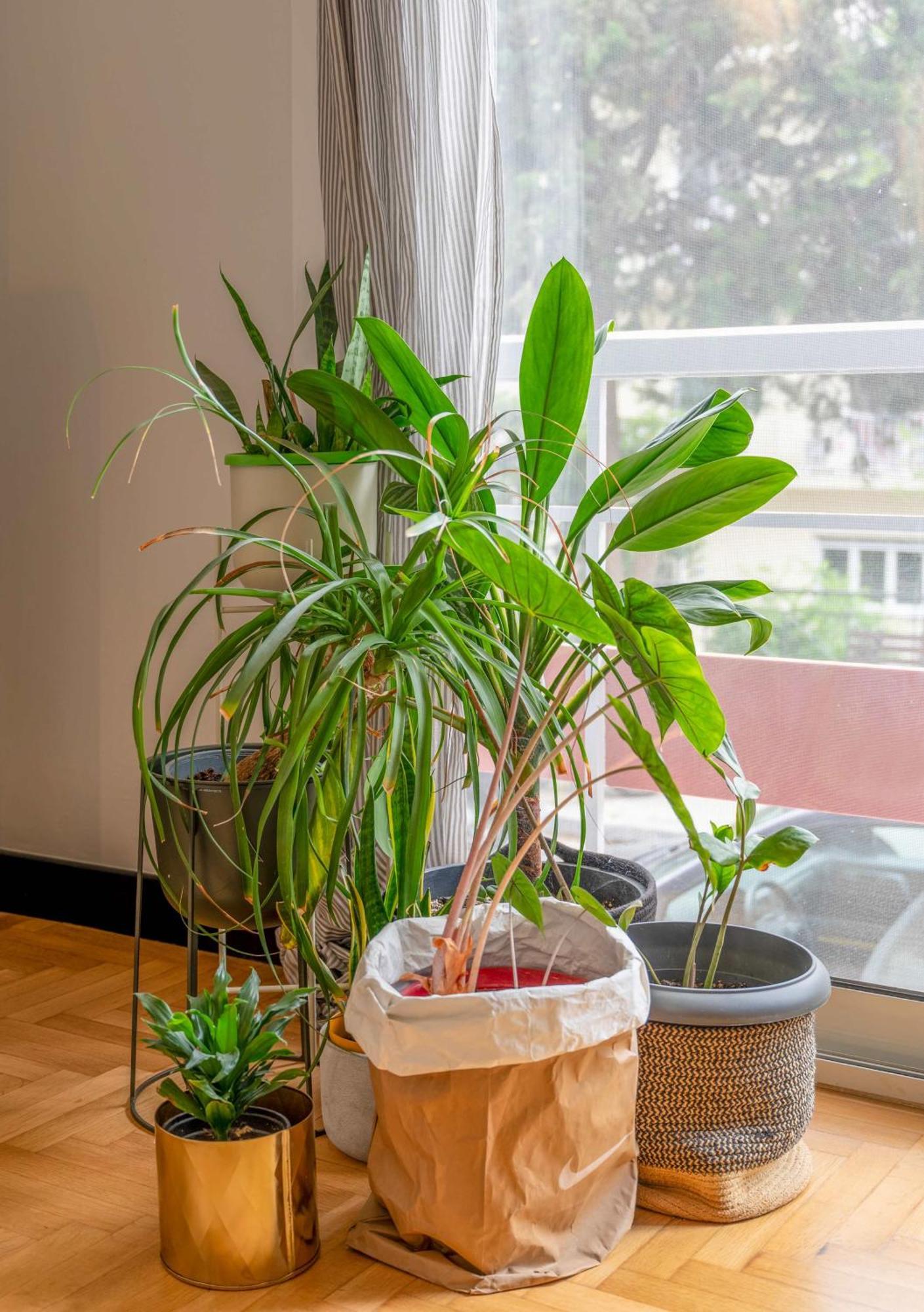 Apartament O&O Group Stylish Jungle Retreat Kolonaki Center Ateny Zewnętrze zdjęcie